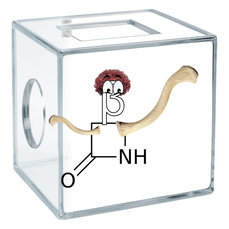 Clavulanate Box: minimal PK interactions avatar mnemonic