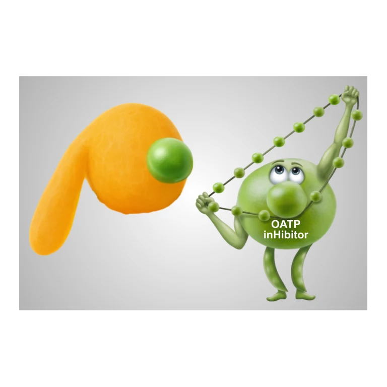 Gemfibrozil OATP inhibitor avatar mnemonic