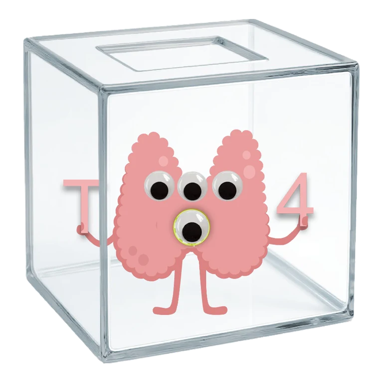 Levothyroxine Box: minimal PK interactions avatar mnemonic