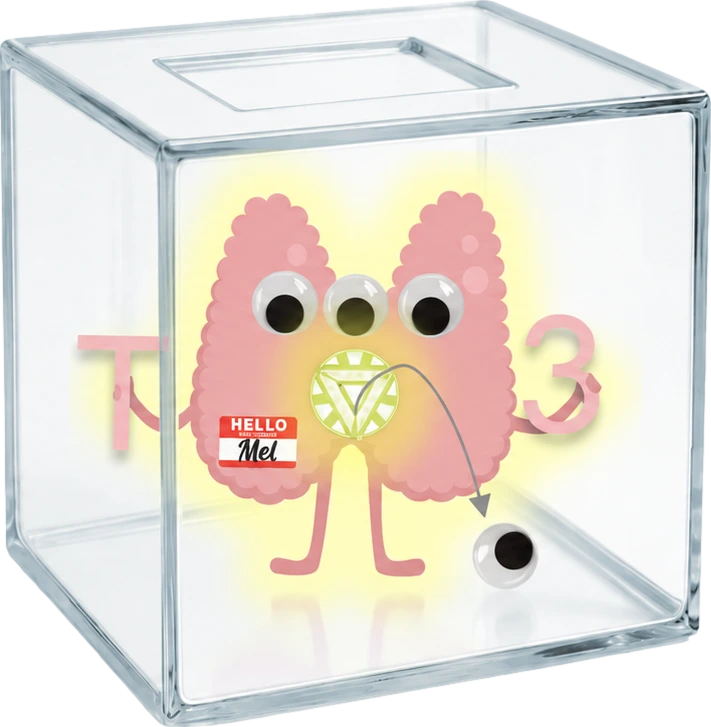 Liothyronine Box: minimal PK interactions avatar mnemonic