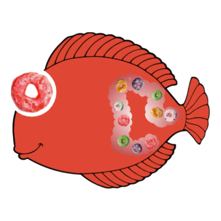 Loperamide CYP3A4 substrate avatar mnemonic