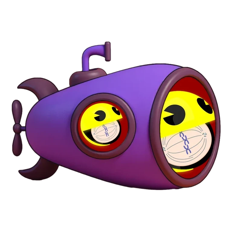 Paclitaxel P-gp substrate avatar mnemonic