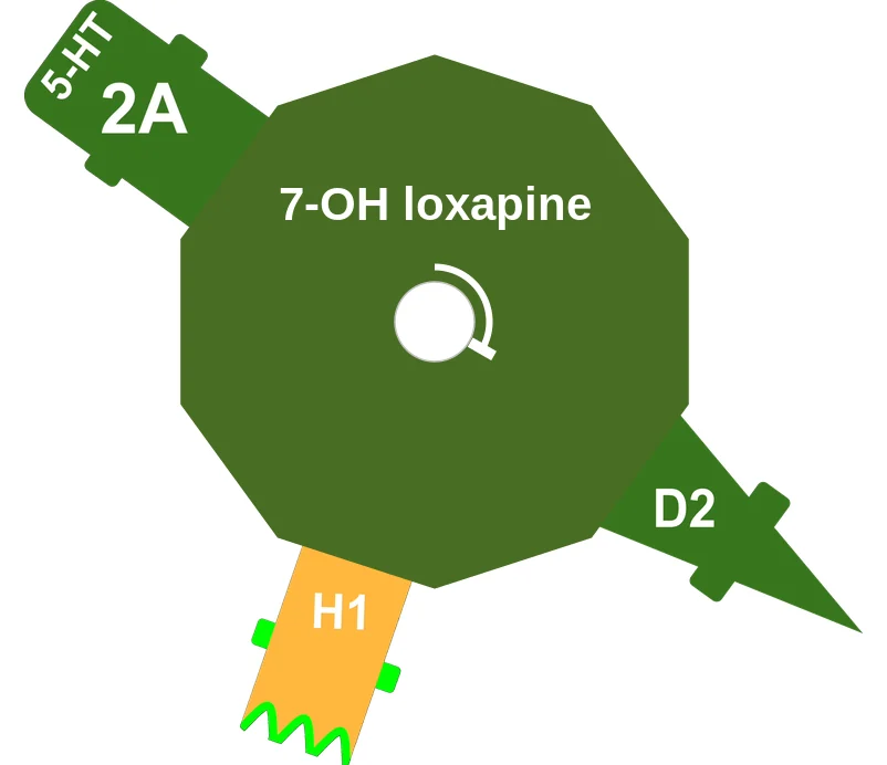7-OH loxapine ballicule: receptor binding, kinetics and half-life diagram