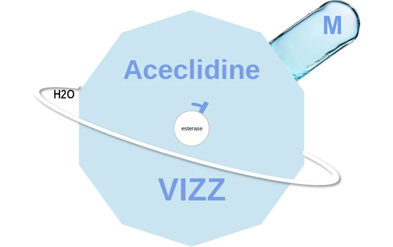 Aceclidine ballicule: receptor binding, kinetics and half-life diagram