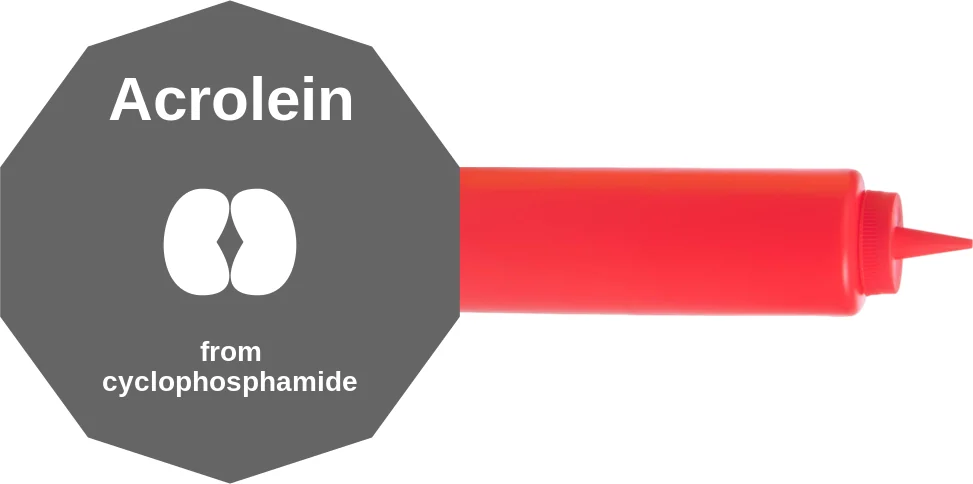 Acrolein ballicule: receptor binding, kinetics and half-life diagram