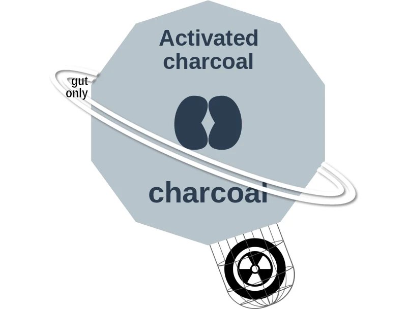 Activated charcoal ballicule: receptor binding, kinetics and half-life diagram
