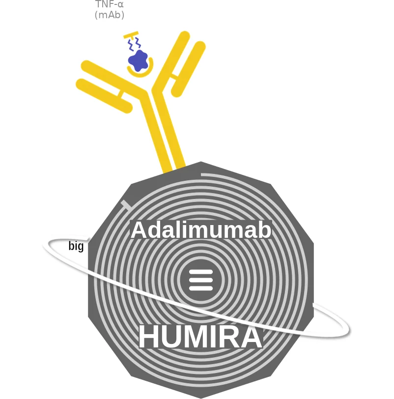 Adalimumab ballicule: receptor binding, kinetics and half-life diagram