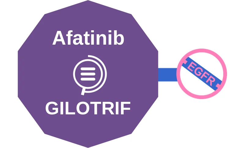 Afatinib ballicule: receptor binding, kinetics and half-life diagram