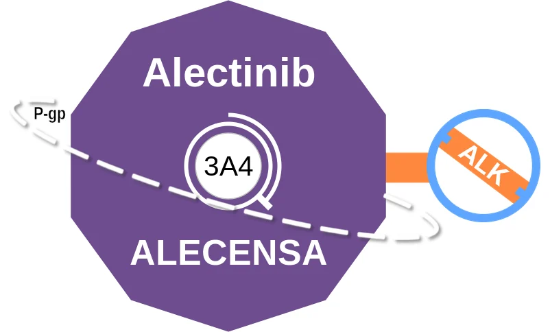 Alectinib ballicule: receptor binding, kinetics and half-life diagram