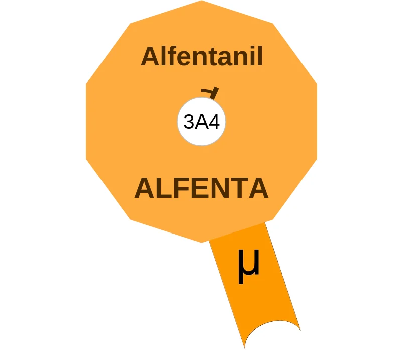 Alfentanil ballicule: receptor binding, kinetics and half-life diagram