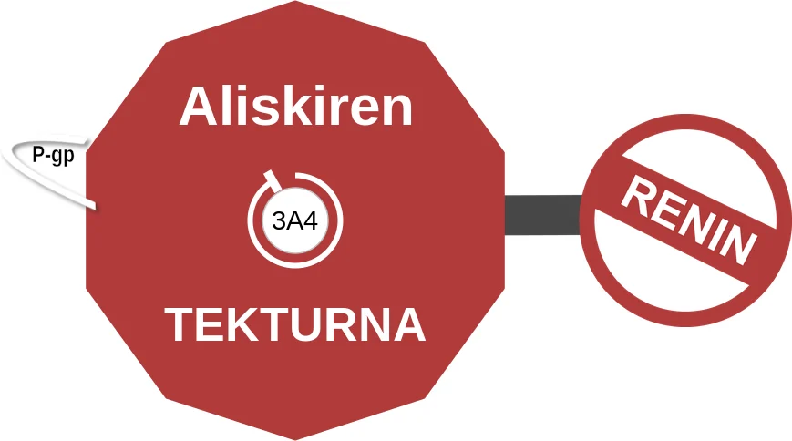 Aliskiren ballicule: receptor binding, kinetics and half-life diagram