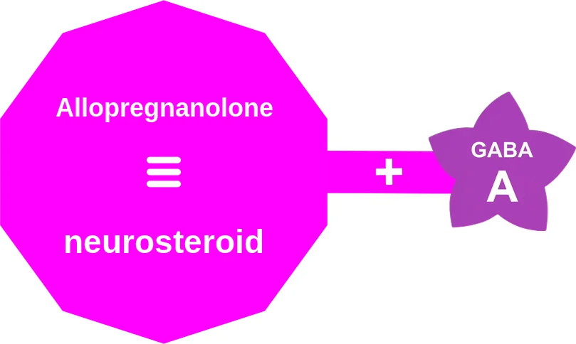 Allopregnanolone ballicule: receptor binding, kinetics and half-life diagram