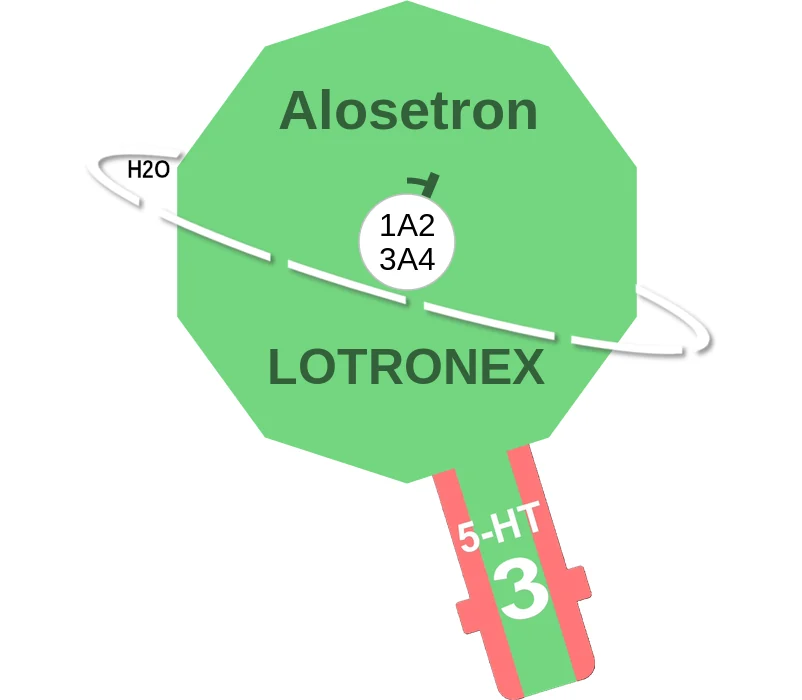 Alosetron ballicule: receptor binding, kinetics and half-life diagram