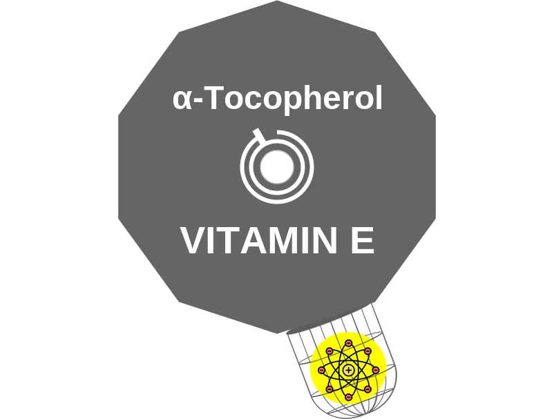 α-Tocopherol ballicule: receptor binding, kinetics and half-life diagram