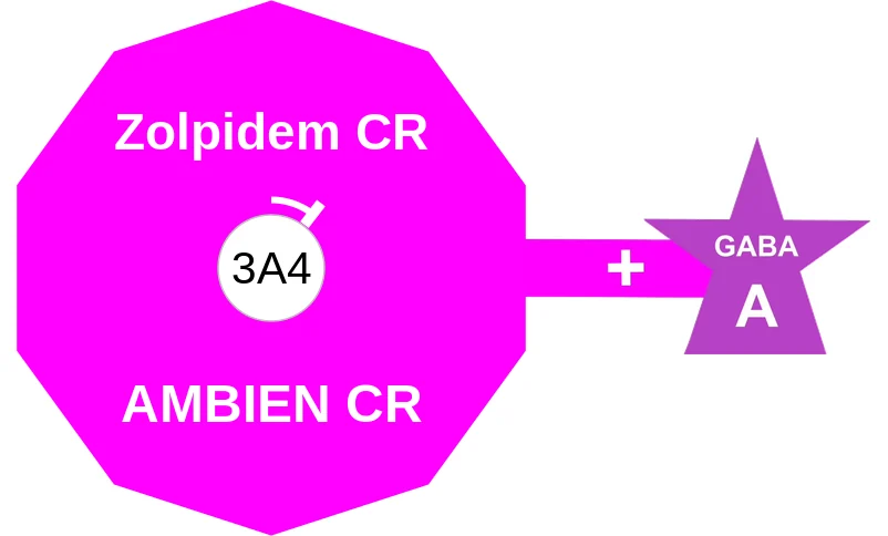 Zolpidem CR ballicule: receptor binding, kinetics and half-life diagram