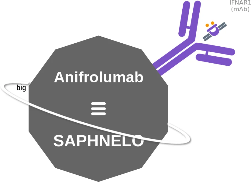 Anifrolumab ballicule: receptor binding, kinetics and half-life diagram