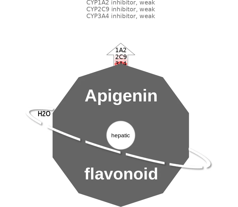 Apigenin ballicule: receptor binding, kinetics and half-life diagram