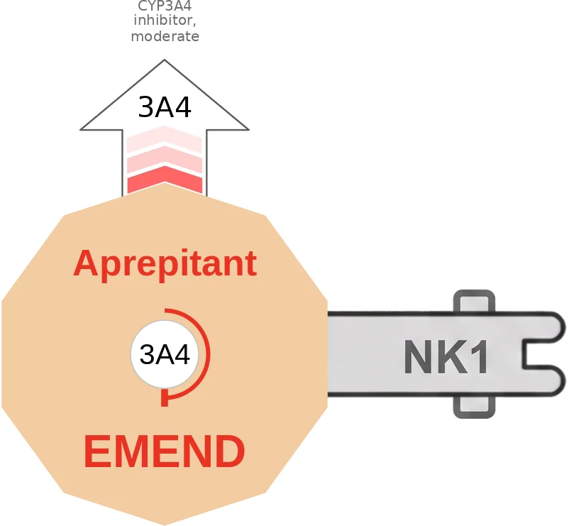 Aprepitant ballicule: receptor binding, kinetics and half-life diagram