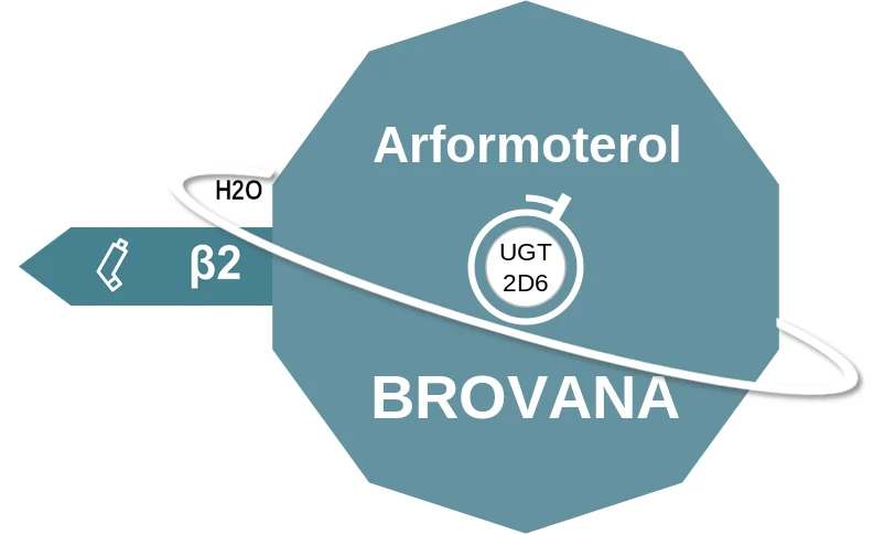 Arformoterol ballicule: receptor binding, kinetics and half-life diagram