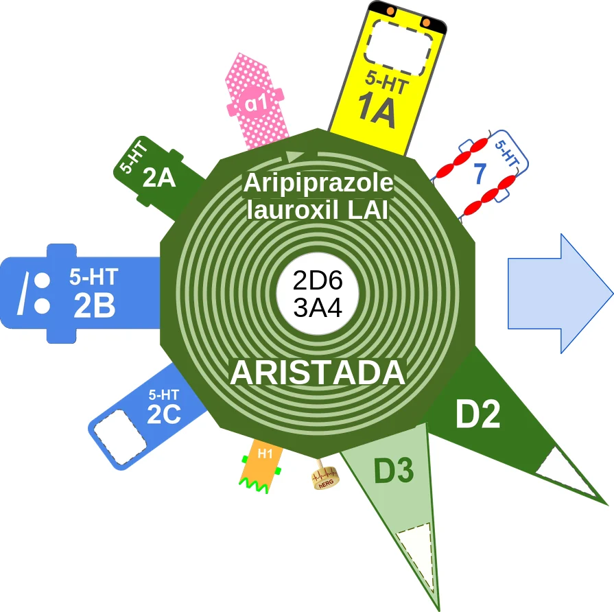 Aripiprazole lauroxil LAI ballicule: receptor binding, kinetics and half-life diagram