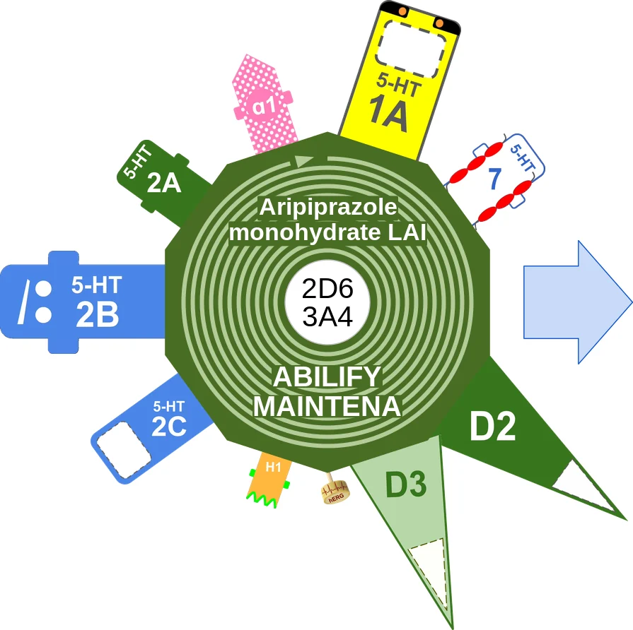 Aripiprazole monohydrate LAI ballicule: receptor binding, kinetics and half-life diagram
