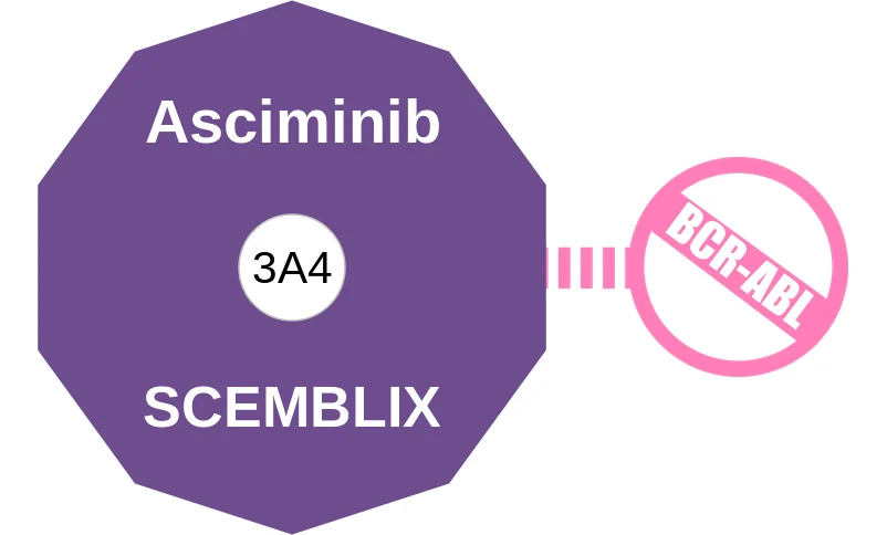 Asciminib ballicule: receptor binding, kinetics and half-life diagram