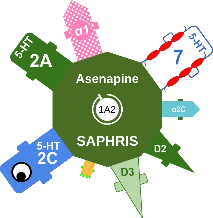 Asenapine ballicule: receptor binding, kinetics and half-life diagram