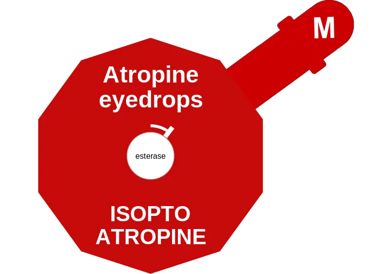 Atropine eyedrops ballicule: receptor binding, kinetics and half-life diagram