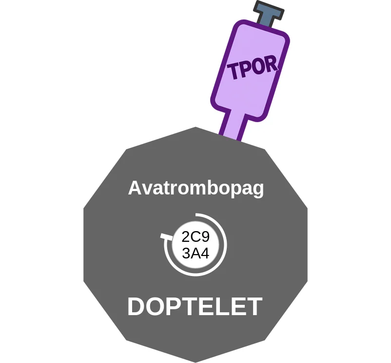 Avatrombopag ballicule: receptor binding, kinetics and half-life diagram