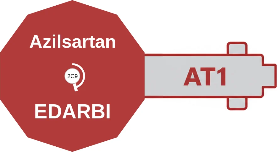 Azilsartan ballicule: receptor binding, kinetics and half-life diagram