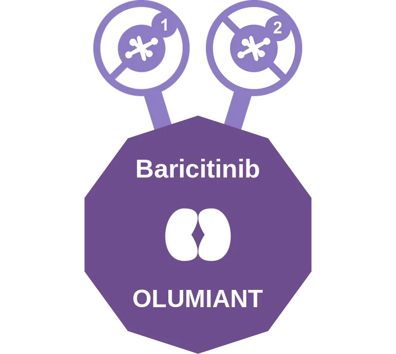 Baricitinib ballicule: receptor binding, kinetics and half-life diagram