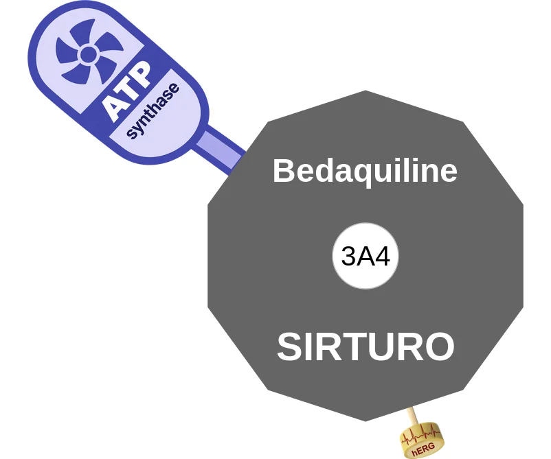Bedaquiline ballicule: receptor binding, kinetics and half-life diagram