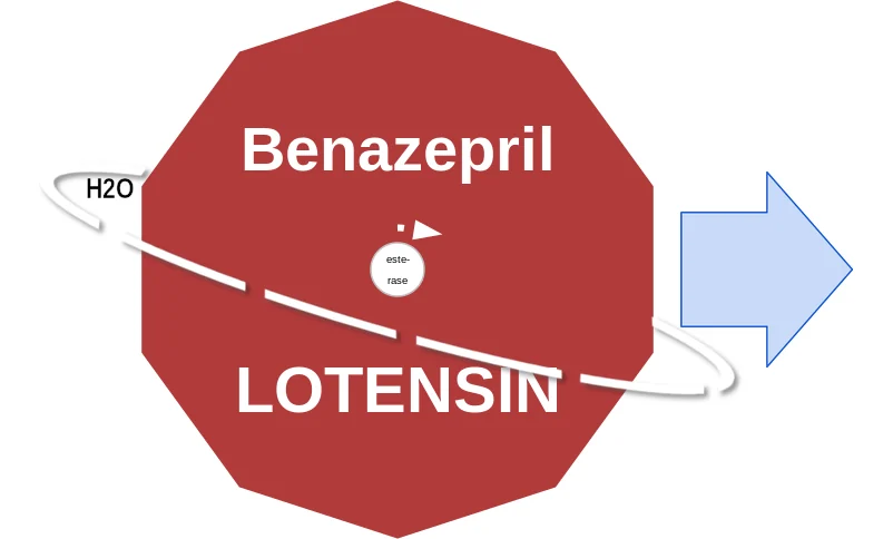 Benazepril ballicule: receptor binding, kinetics and half-life diagram
