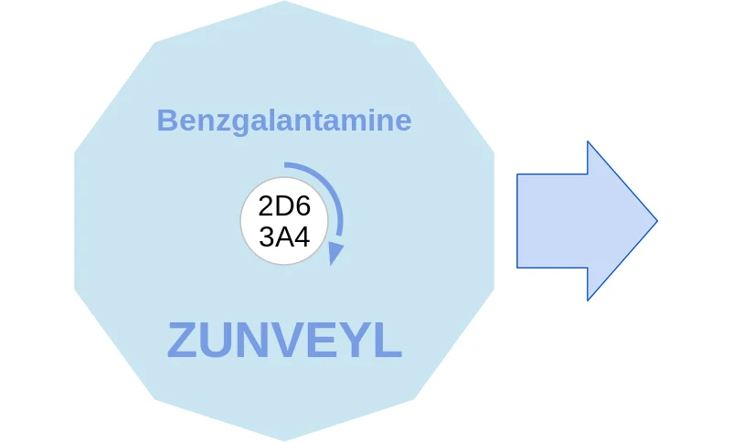 Benzgalantamine ballicule: receptor binding, kinetics and half-life diagram