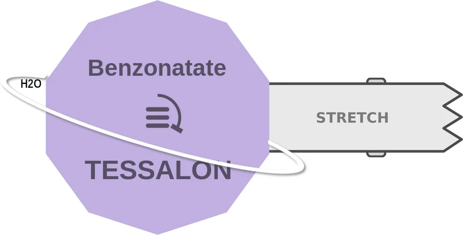 Benzonatate ballicule: receptor binding, kinetics and half-life diagram