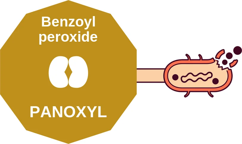Benzoyl peroxide ballicule: receptor binding, kinetics and half-life diagram