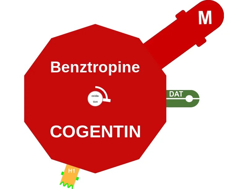 Benztropine ballicule: receptor binding, kinetics and half-life diagram