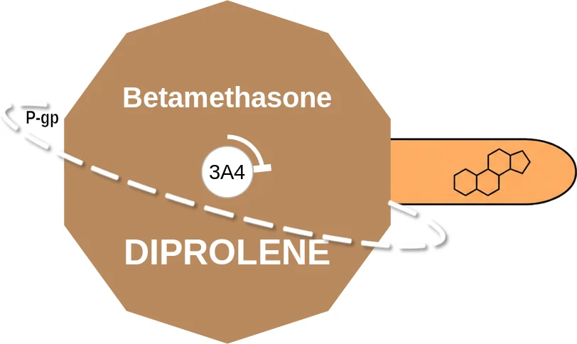 Betamethasone ballicule: receptor binding, kinetics and half-life diagram