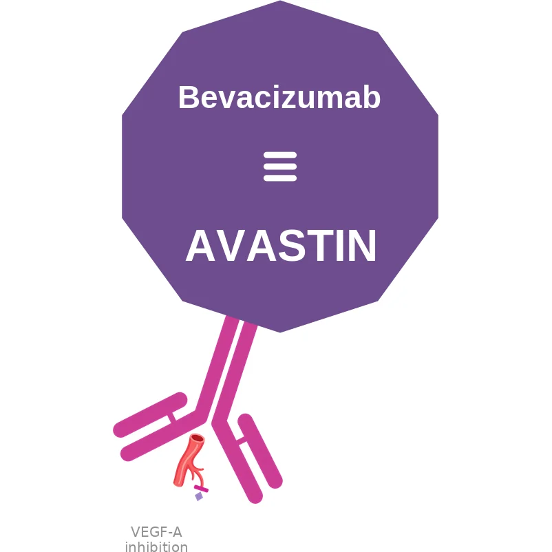 Bevacizumab ballicule: receptor binding, kinetics and half-life diagram