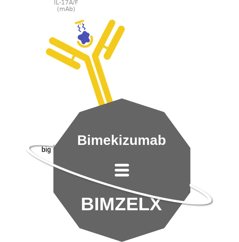 Bimekizumab ballicule: receptor binding, kinetics and half-life diagram