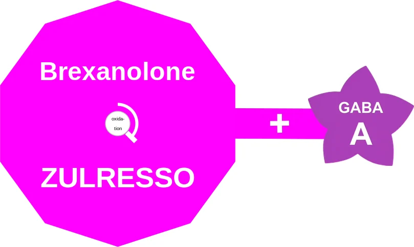 Brexanolone ballicule: receptor binding, kinetics and half-life diagram