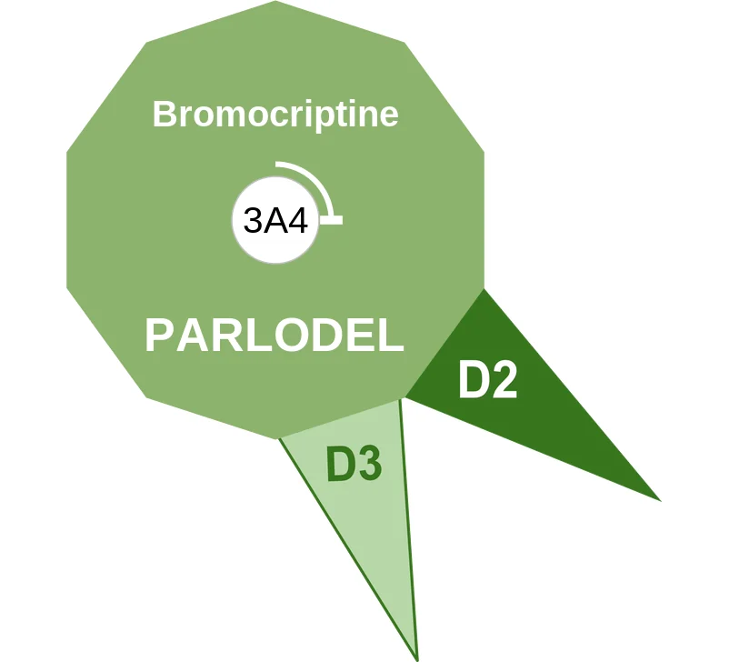 Bromocriptine ballicule: receptor binding, kinetics and half-life diagram