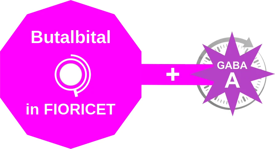 Butalbital ballicule: receptor binding, kinetics and half-life diagram