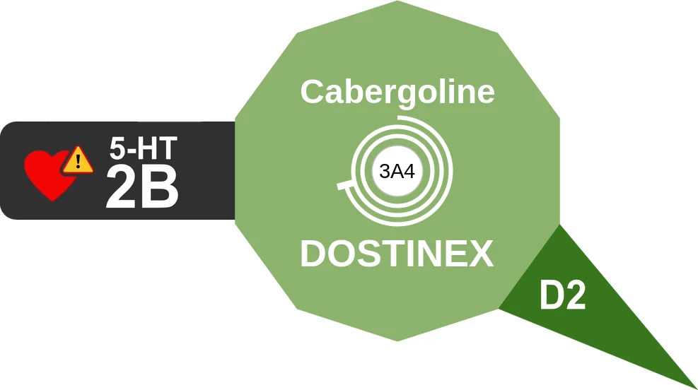 Cabergoline ballicule: receptor binding, kinetics and half-life diagram