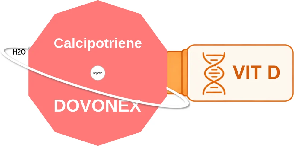 Calcipotriene ballicule: receptor binding, kinetics and half-life diagram