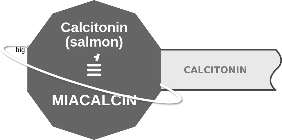 Calcitonin (salmon) ballicule: receptor binding, kinetics and half-life diagram