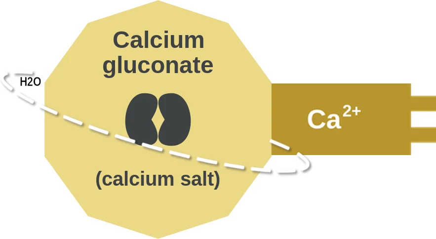 Calcium gluconate ballicule: receptor binding, kinetics and half-life diagram