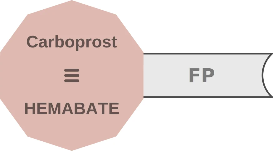 Carboprost ballicule: receptor binding, kinetics and half-life diagram