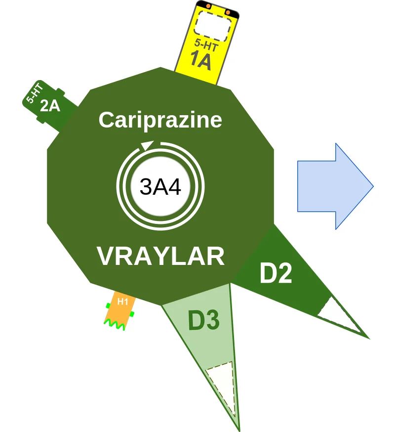Cariprazine ballicule: receptor binding, kinetics and half-life diagram