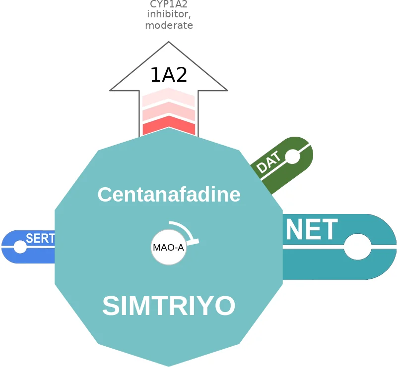 Centanafadine ballicule: receptor binding, kinetics and half-life diagram